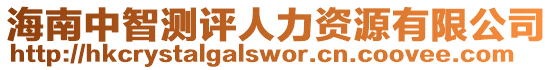 海南中智測評人力資源有限公司