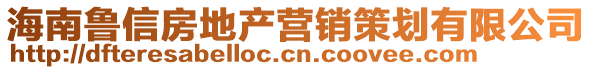 海南鲁信房地产营销策划有限公司