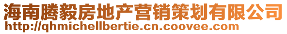 海南腾毅房地产营销策划有限公司