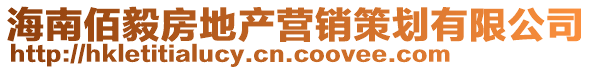 海南佰毅房地產營銷策劃有限公司