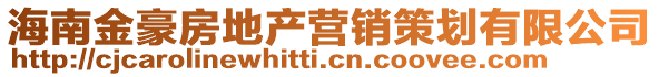 海南金豪房地產(chǎn)營(yíng)銷(xiāo)策劃有限公司