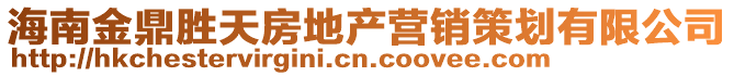 海南金鼎勝天房地產(chǎn)營(yíng)銷(xiāo)策劃有限公司