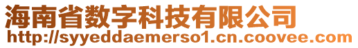 海南省數(shù)字科技有限公司