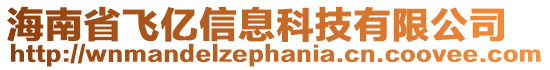 海南省飛億信息科技有限公司