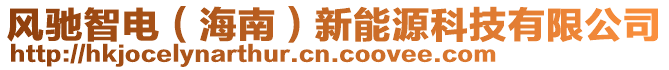 風(fēng)馳智電（海南）新能源科技有限公司