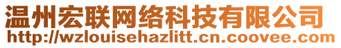 溫州宏聯(lián)網(wǎng)絡(luò)科技有限公司