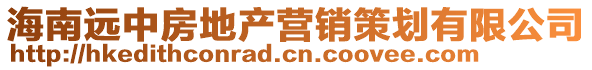 海南遠中房地產營銷策劃有限公司