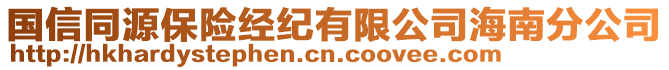 國信同源保險(xiǎn)經(jīng)紀(jì)有限公司海南分公司