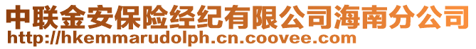 中聯(lián)金安保險經(jīng)紀(jì)有限公司海南分公司