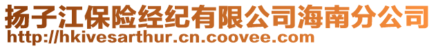 扬子江保险经纪有限公司海南分公司