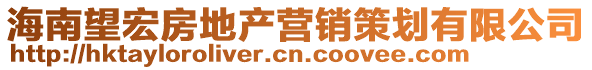 海南望宏房地产营销策划有限公司