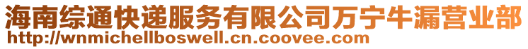 海南綜通快遞服務(wù)有限公司萬寧牛漏營業(yè)部