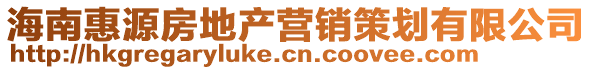 海南惠源房地產營銷策劃有限公司