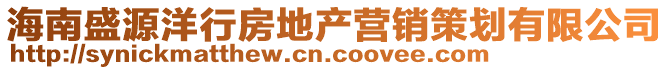 海南盛源洋行房地產(chǎn)營(yíng)銷策劃有限公司