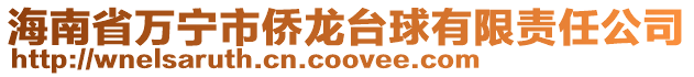海南省萬寧市僑龍臺球有限責(zé)任公司