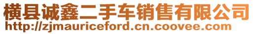 橫縣誠鑫二手車銷售有限公司