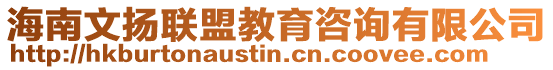 海南文揚聯盟教育咨詢有限公司