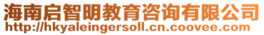 海南啟智明教育咨詢(xún)有限公司