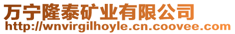 萬寧隆泰礦業有限公司