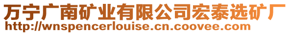 萬寧廣南礦業(yè)有限公司宏泰選礦廠