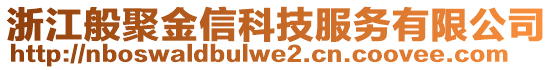 浙江般聚金信科技服務有限公司