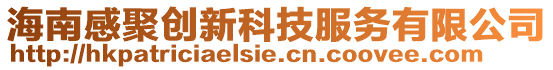 海南感聚創新科技服務有限公司