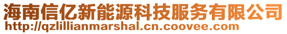 海南信億新能源科技服務有限公司