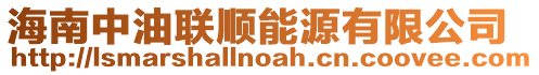 海南中油聯(lián)順能源有限公司