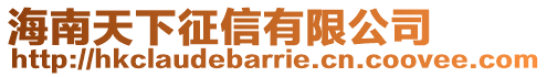 海南天下征信有限公司