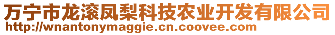 萬(wàn)寧市龍滾鳳梨科技農(nóng)業(yè)開(kāi)發(fā)有限公司