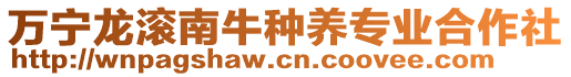 萬寧龍滾南牛種養(yǎng)專業(yè)合作社