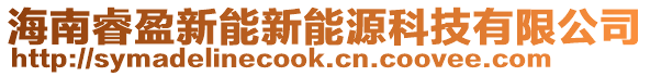 海南睿盈新能新能源科技有限公司