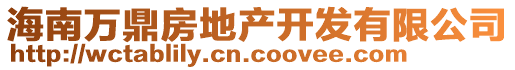 海南萬(wàn)鼎房地產(chǎn)開(kāi)發(fā)有限公司