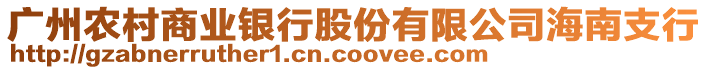 廣州農(nóng)村商業(yè)銀行股份有限公司海南支行