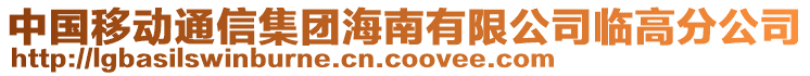 中國移動通信集團海南有限公司臨高分公司