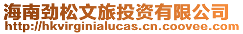 海南勁松文旅投資有限公司