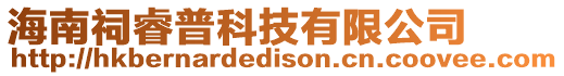 海南祠睿普科技有限公司