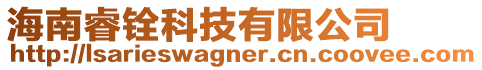 海南睿銓科技有限公司