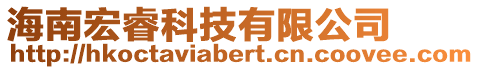 海南宏睿科技有限公司