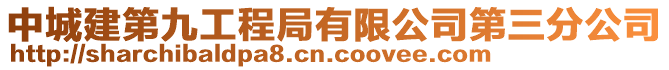 中城建第九工程局有限公司第三分公司