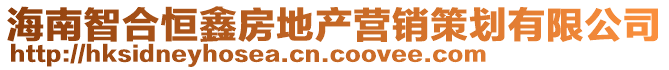 海南智合恒鑫房地產(chǎn)營(yíng)銷(xiāo)策劃有限公司