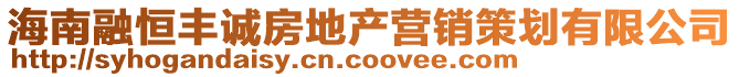 海南融恒豐誠房地產營銷策劃有限公司