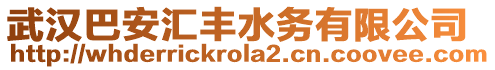 武漢巴安匯豐水務有限公司