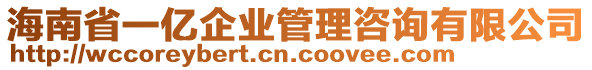 海南省一億企業(yè)管理咨詢有限公司