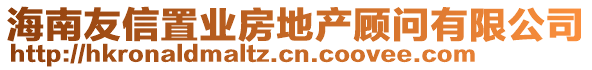 海南友信置業(yè)房地產(chǎn)顧問有限公司