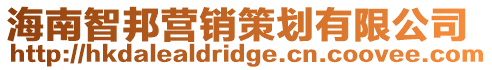 海南智邦營銷策劃有限公司