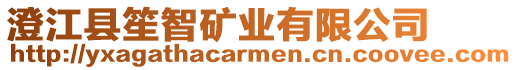 澄江縣笙智礦業有限公司