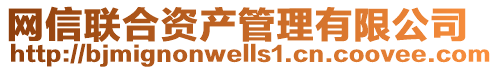 網(wǎng)信聯(lián)合資產(chǎn)管理有限公司