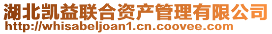 湖北凱益聯合資產管理有限公司