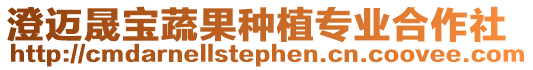 澄邁晟寶蔬果種植專業合作社